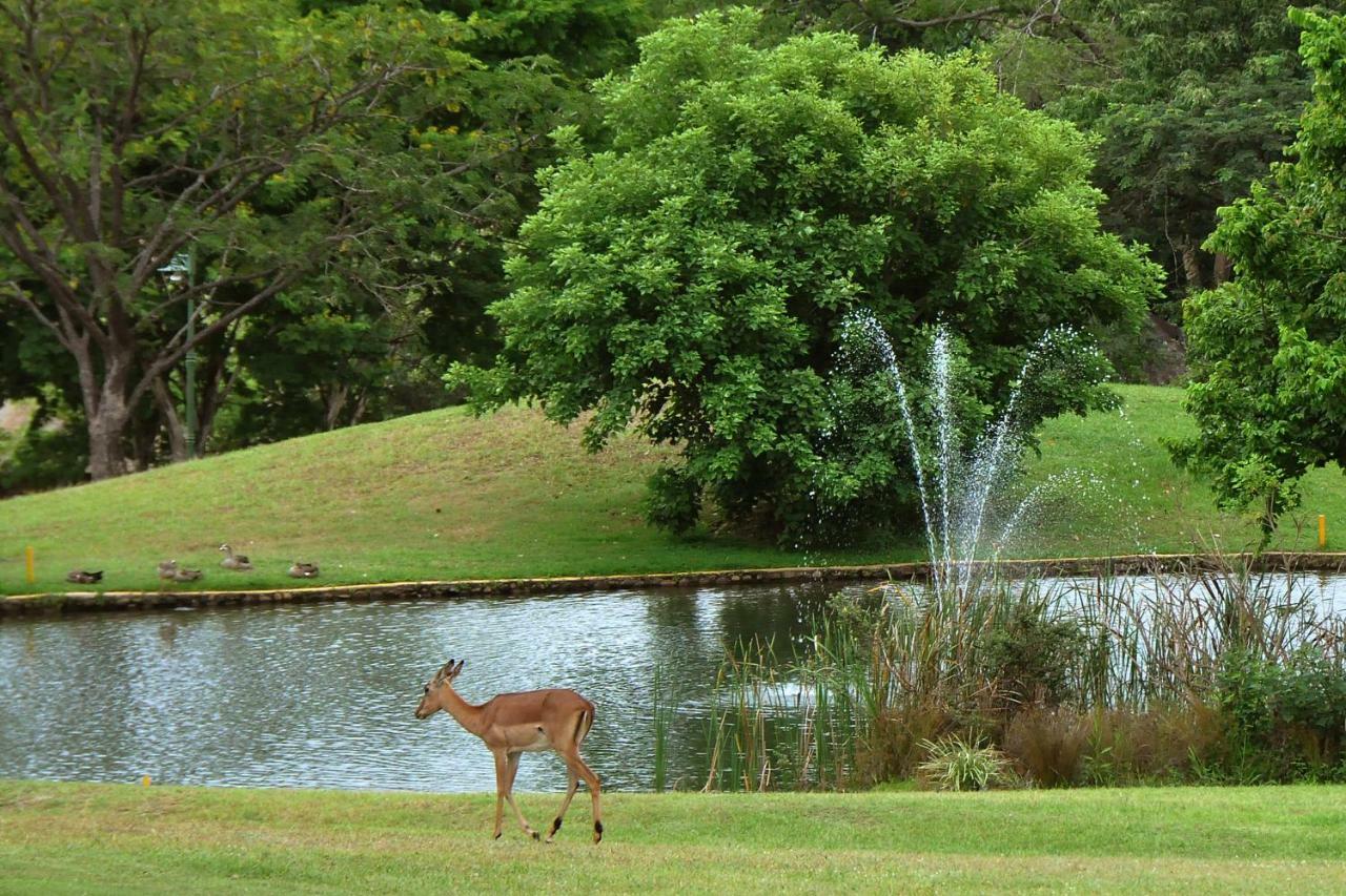 Kruger Park Lodge Unit No. 612 هازيفيو المظهر الخارجي الصورة