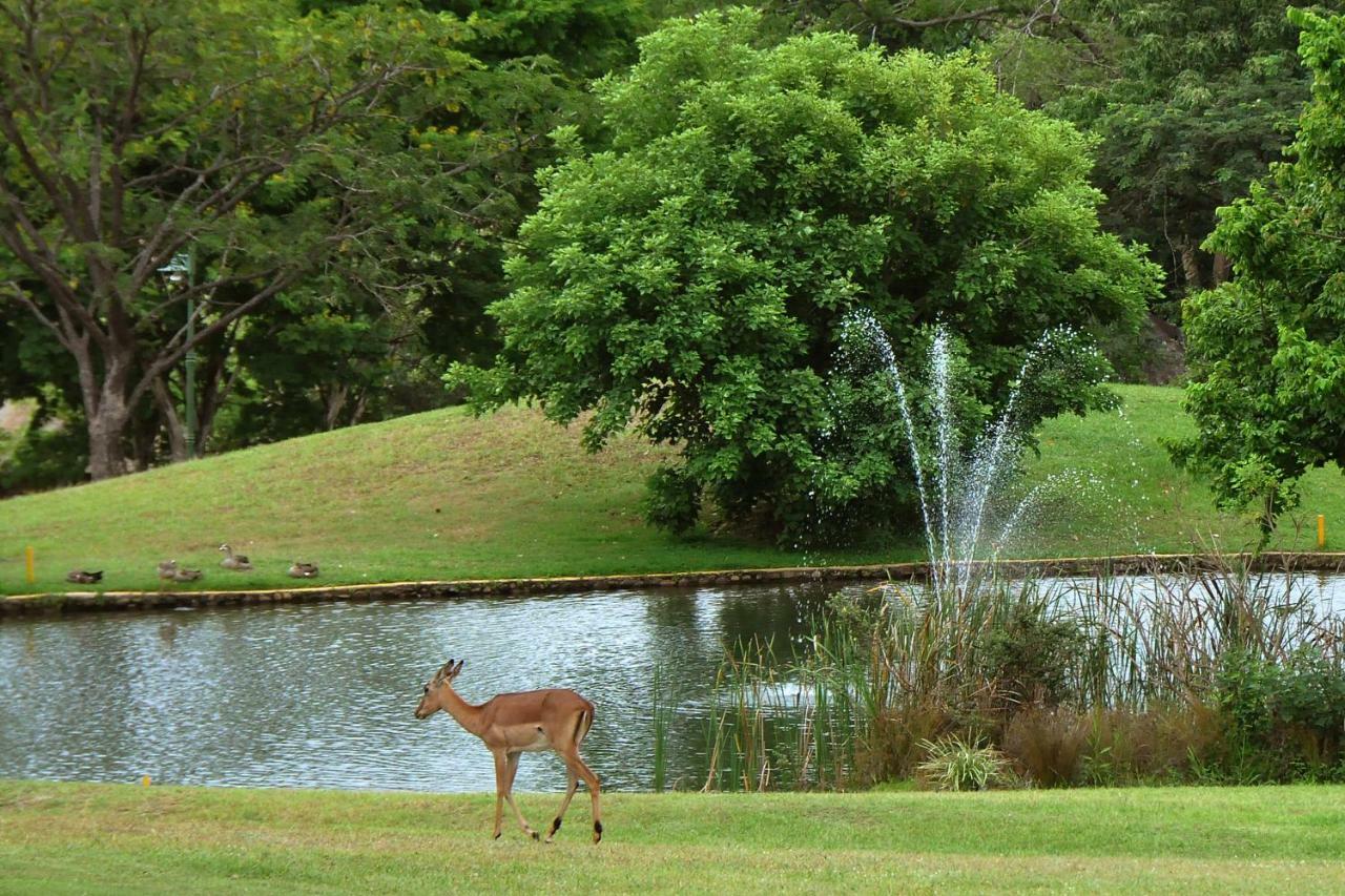 هازيفيو Kruger Park Lodge Unit No. 612 المظهر الخارجي الصورة